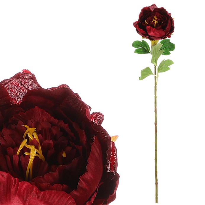 Produktový obrázek 1