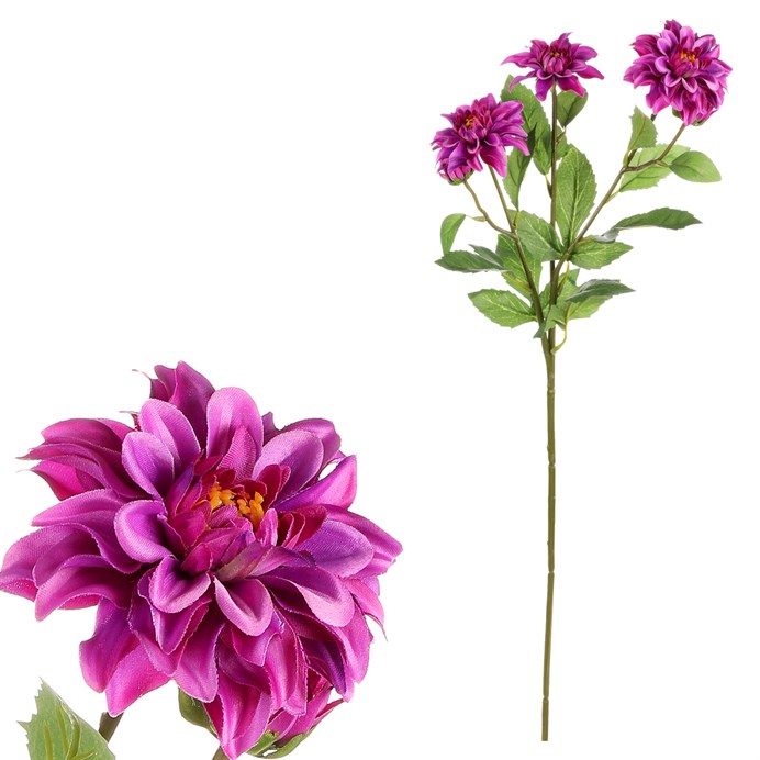 Produktový obrázek 1