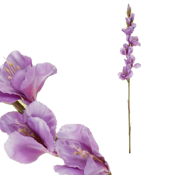 Produktový obrázek 1