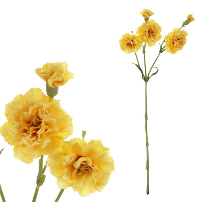 Produktový obrázek 1