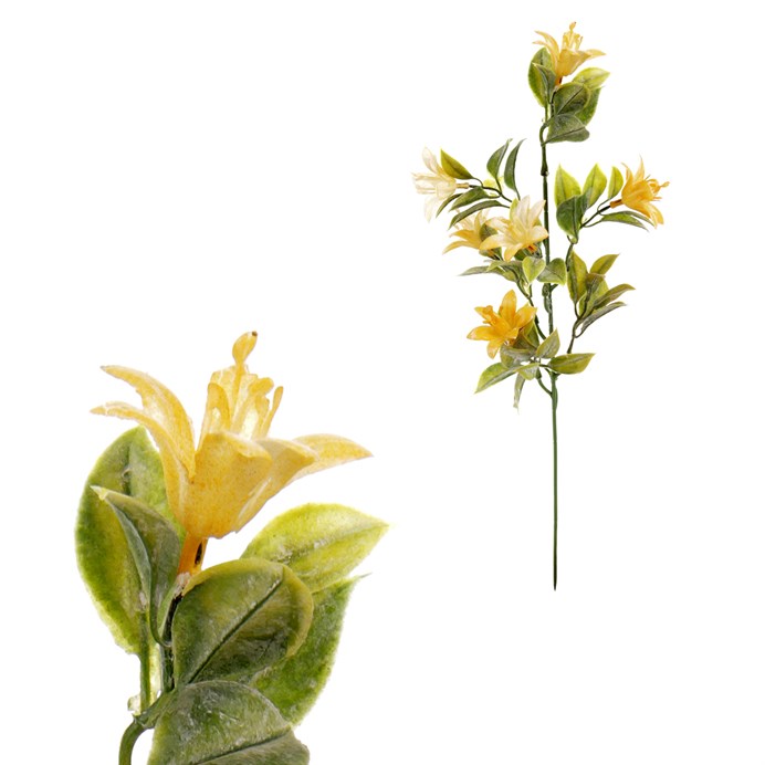 Produktový obrázek 1