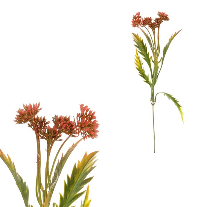 Produktový obrázek 1