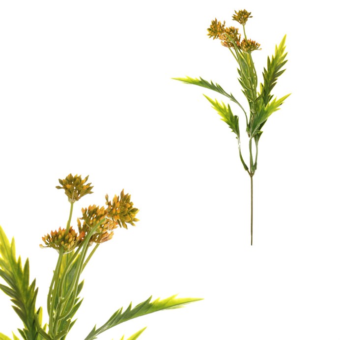 Produktový obrázek 1