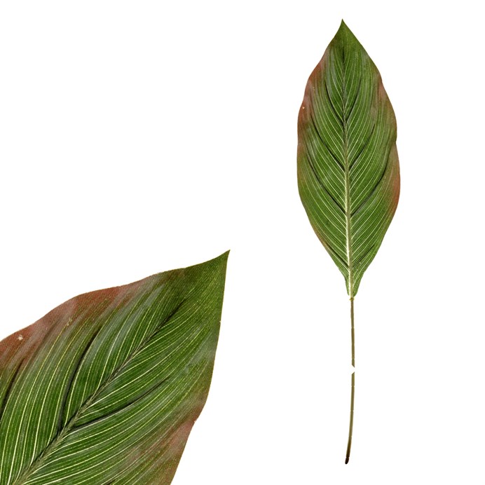 Produktový obrázek 1