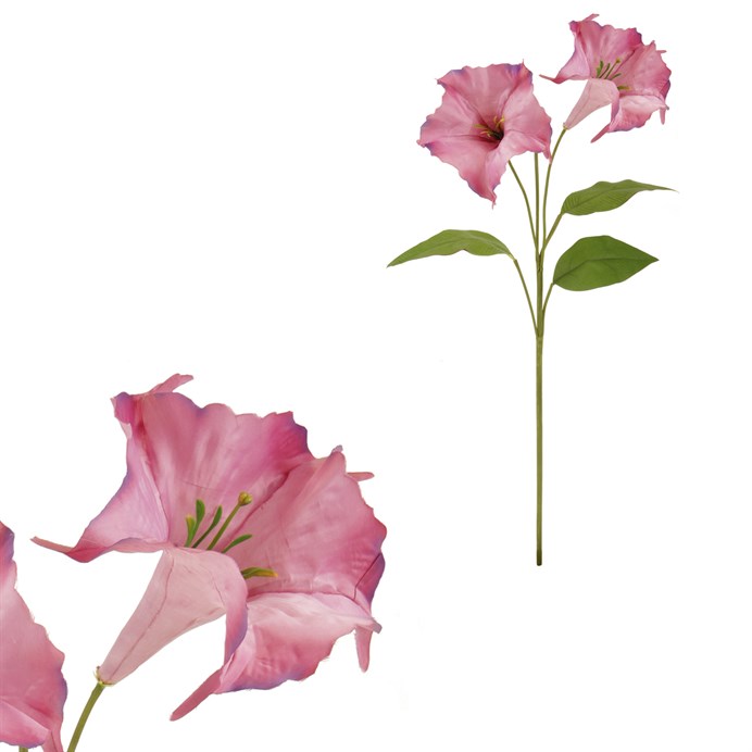 Produktový obrázek 1