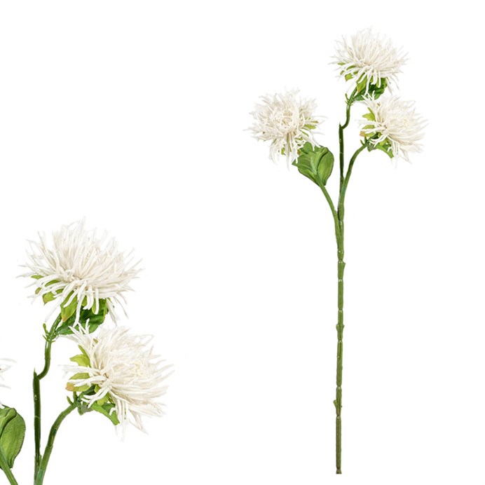 Produktový obrázek 1