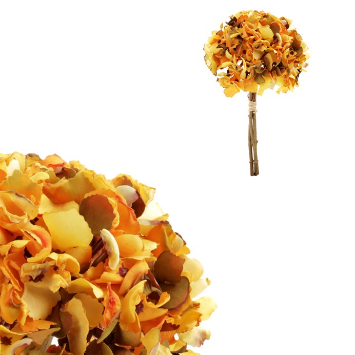 Produktový obrázek 1