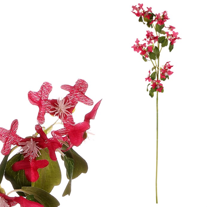 Produktový obrázek 1