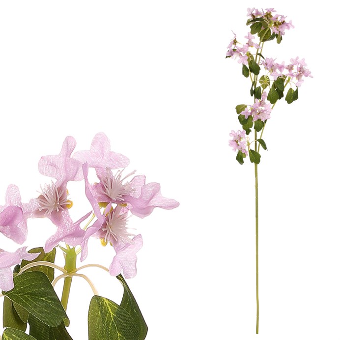 Produktový obrázek 1