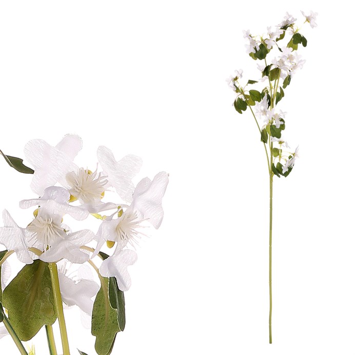 Produktový obrázek 1