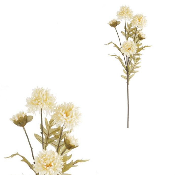 Produktový obrázek 1