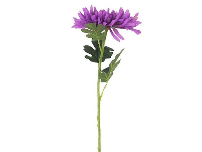 Produktový obrázek 1