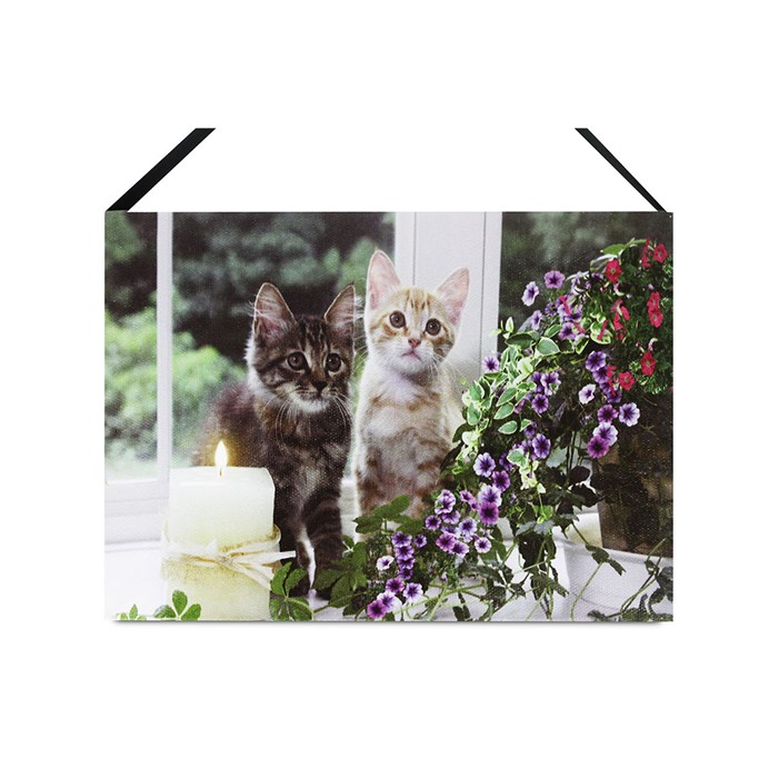 Produktový obrázek 1