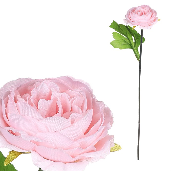 Produktový obrázek 1