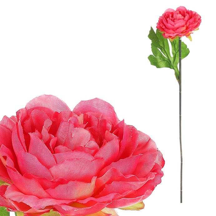 Produktový obrázek 1