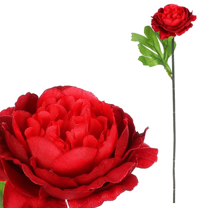 Produktový obrázek 1