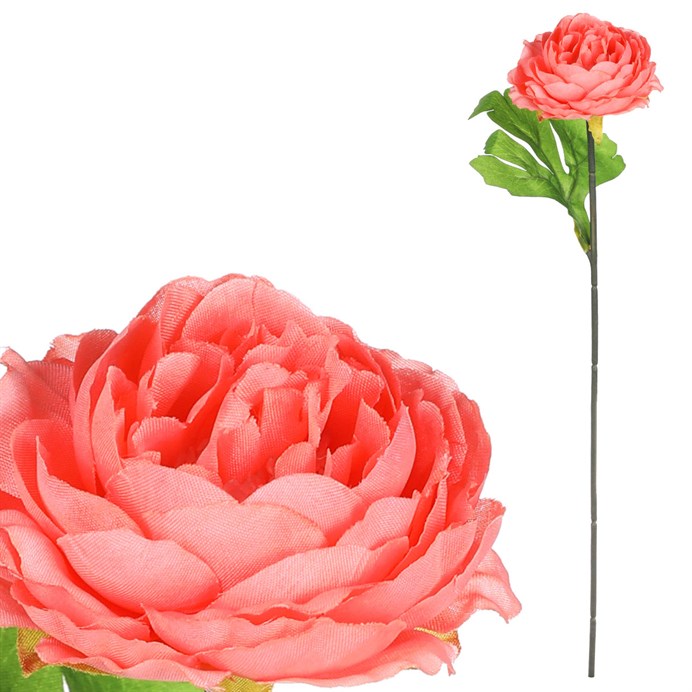 Produktový obrázek 1