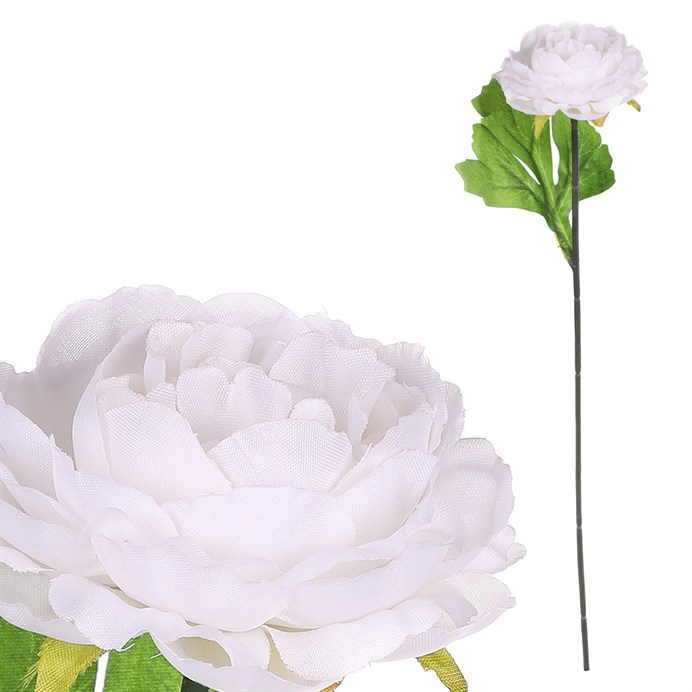 Produktový obrázek 1