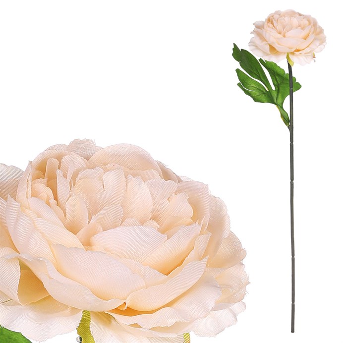 Produktový obrázek 1