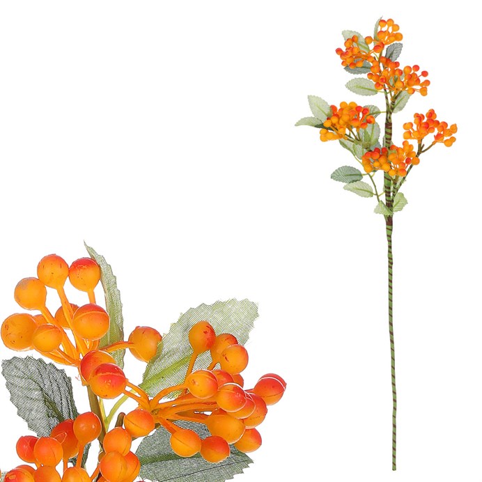 Produktový obrázek 1