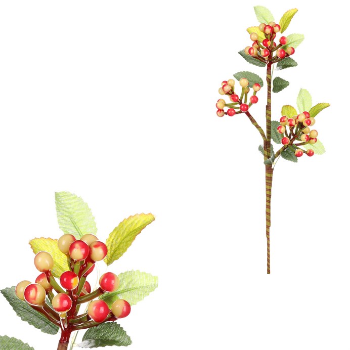 Produktový obrázek 1