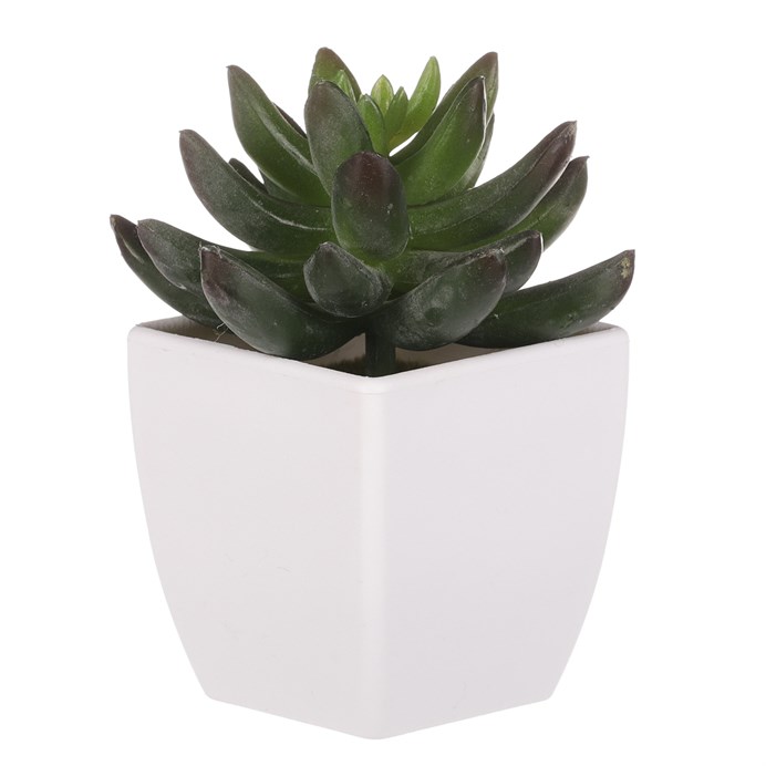 Produktový obrázek 1