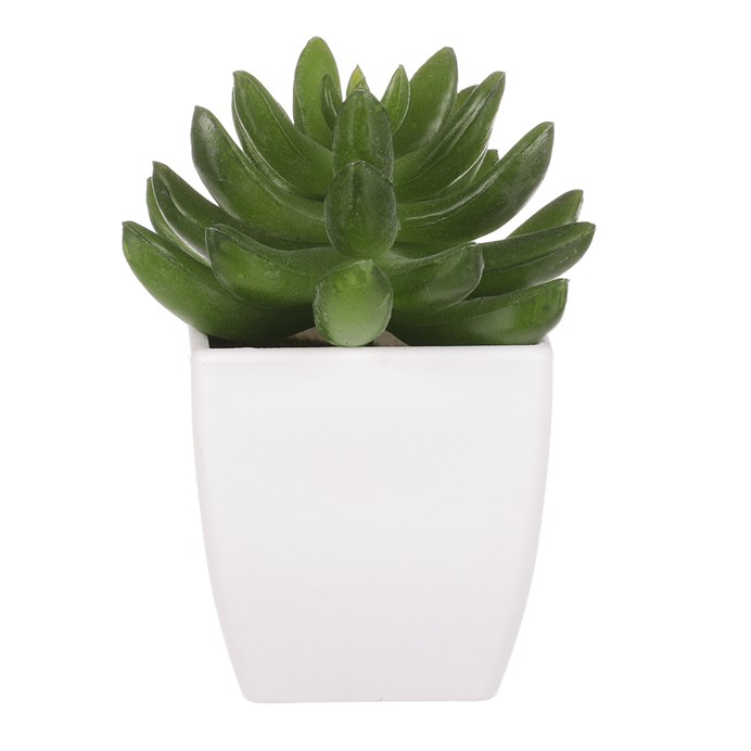 Produktový obrázek 3