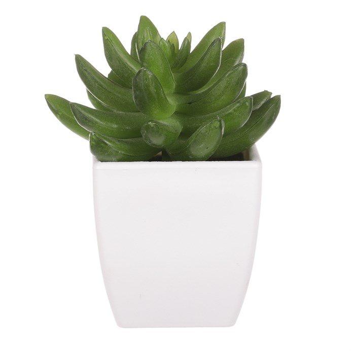 Produktový obrázek 2