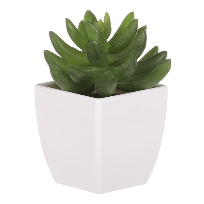 Produktový obrázek 4