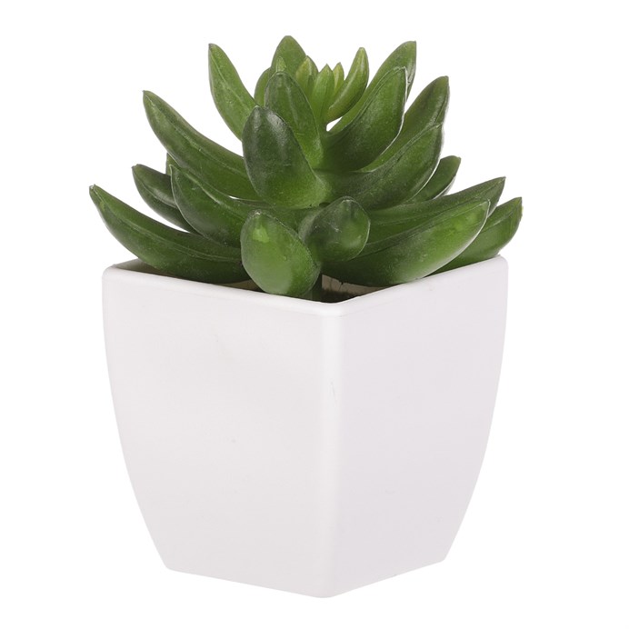 Produktový obrázek 1