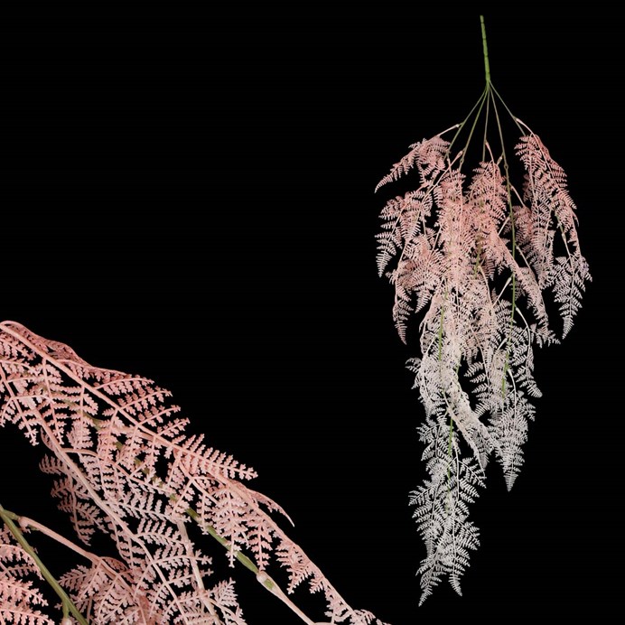 Produktový obrázek 1