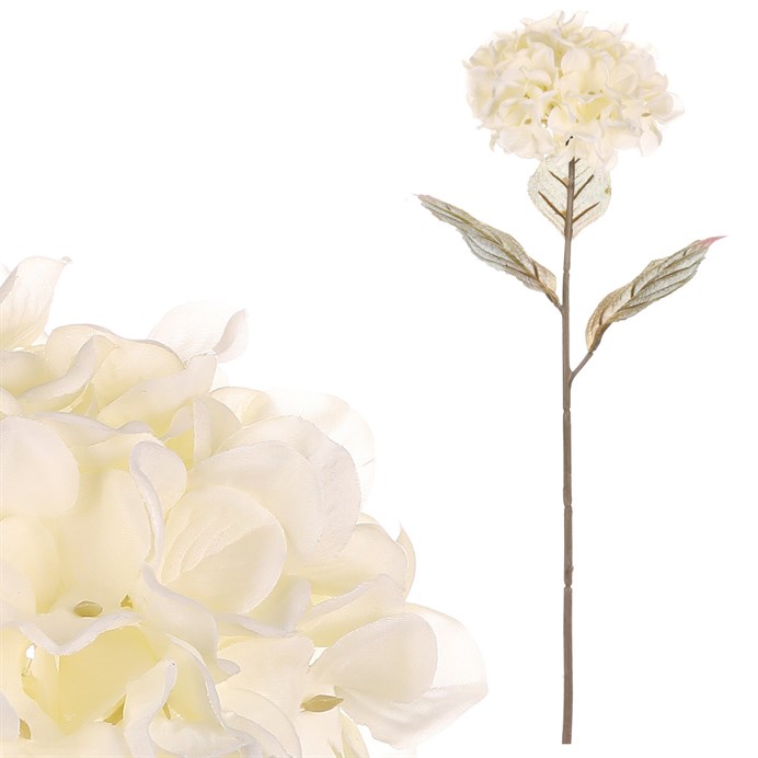 Produktový obrázek 1