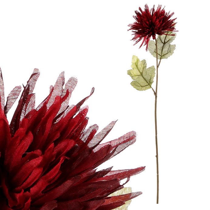 Produktový obrázek 1