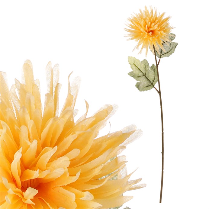 Produktový obrázek 1