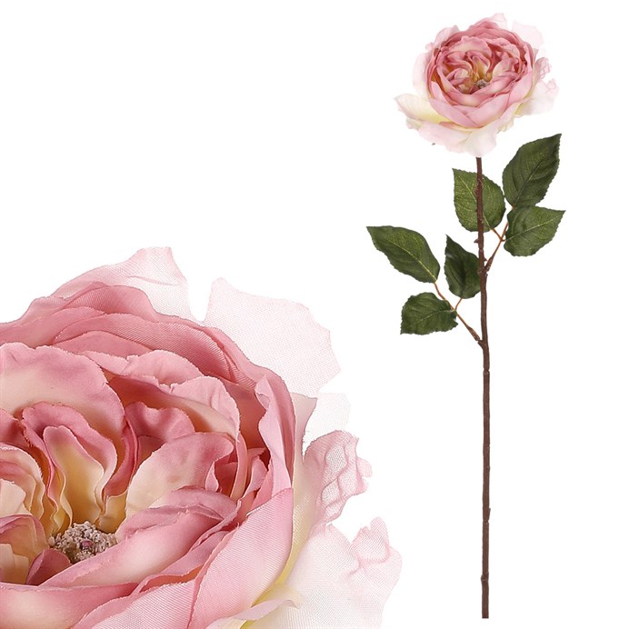 Produktový obrázek 1