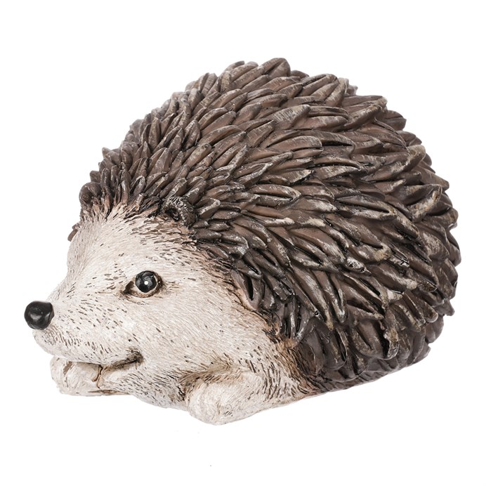 Produktový obrázek 1