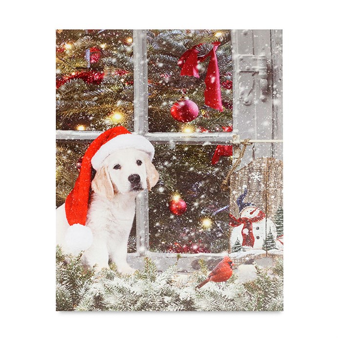 Produktový obrázek 1