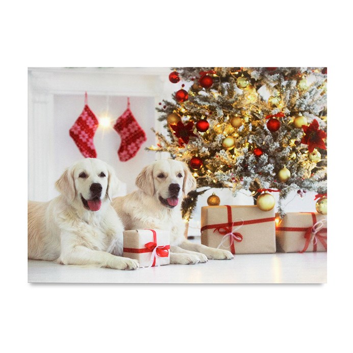 Produktový obrázek 1