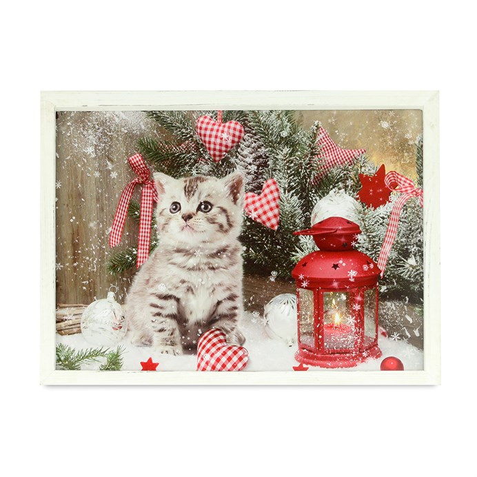 Produktový obrázek 1