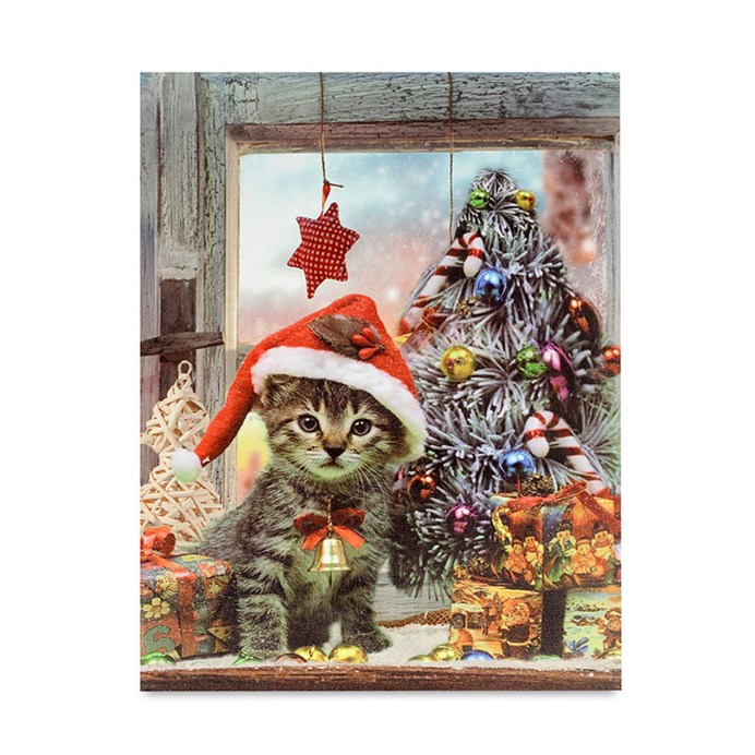 Produktový obrázek 1