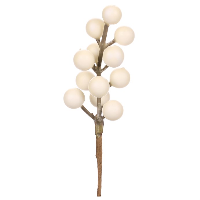 Produktový obrázek 1