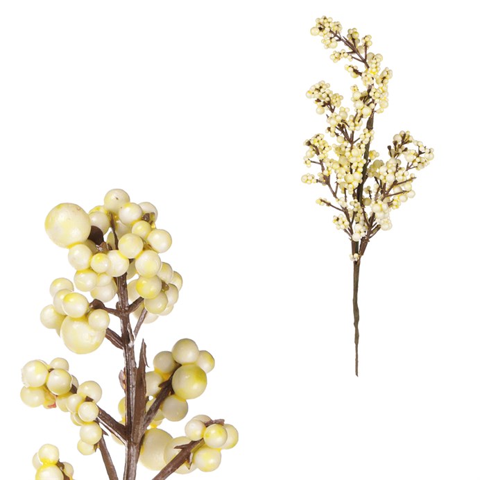 Produktový obrázek 1