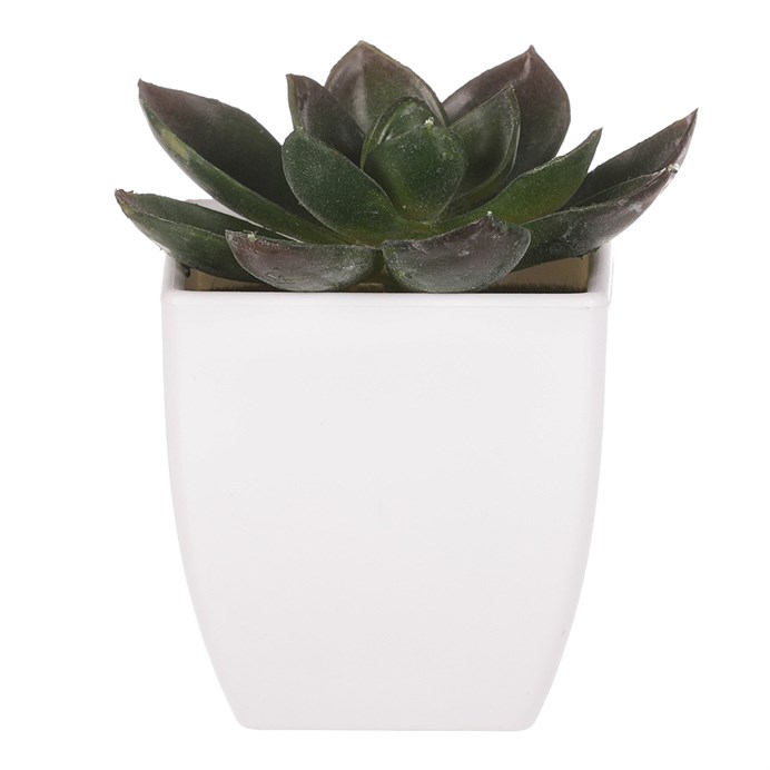 Produktový obrázek 4