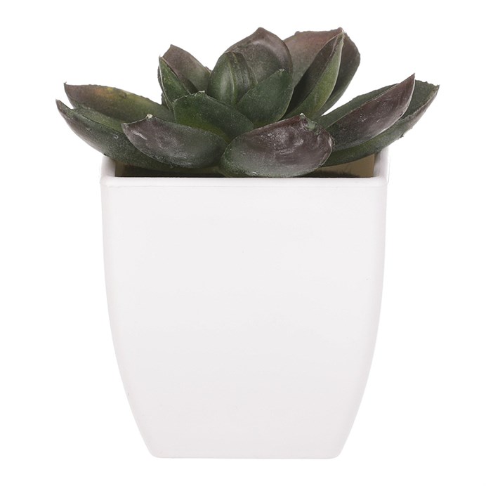 Produktový obrázek 1