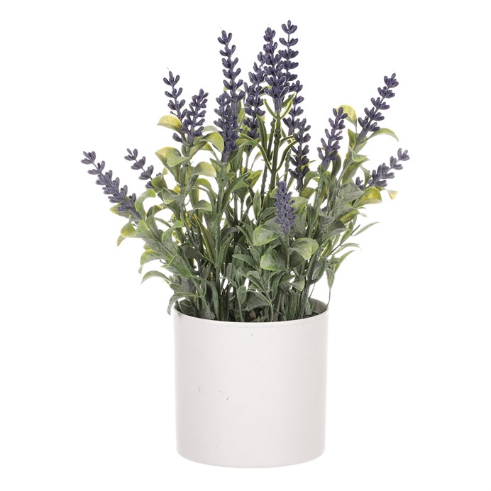 Produktový obrázek 4