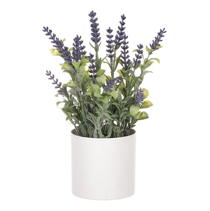 Produktový obrázek 2