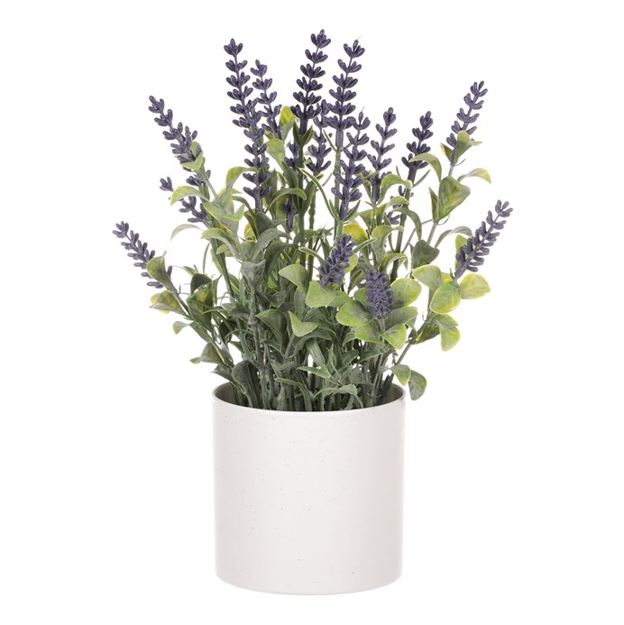 Produktový obrázek 3