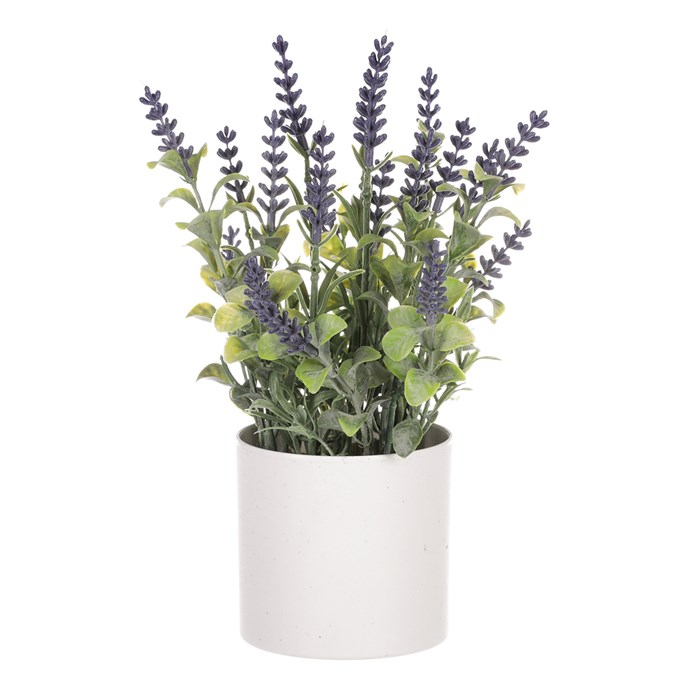 Produktový obrázek 1