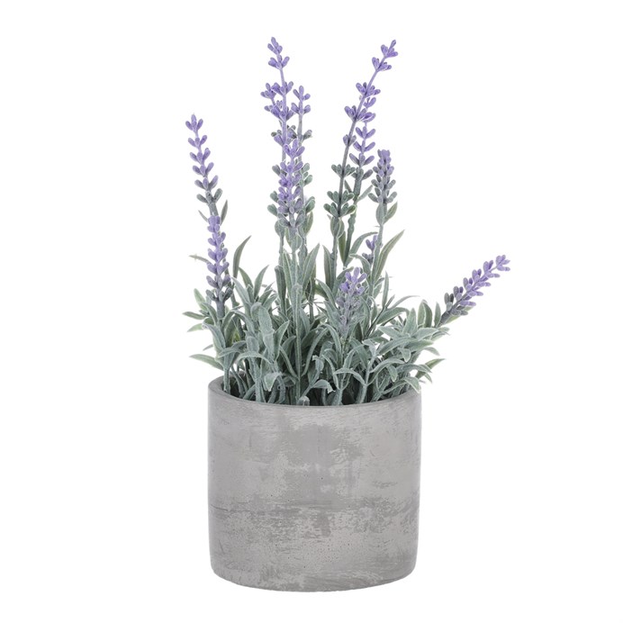 Produktový obrázek 2