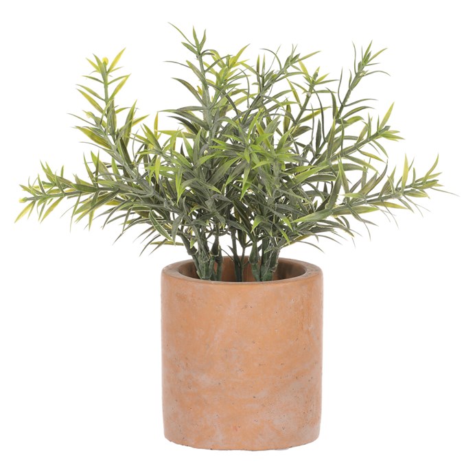 Produktový obrázek 1